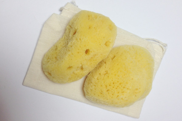 Sea Sponges
